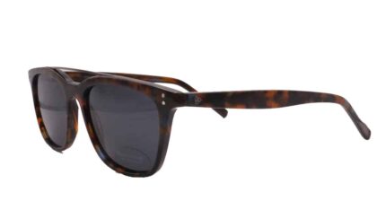 Vistan-Roy-Robson-70049-002-1