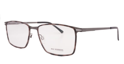 vistan-roy-robson-10047-3-2